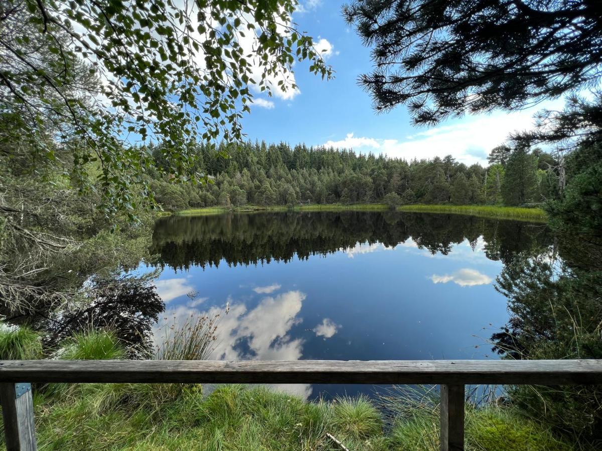Apartment Annis Panoramablick Pool Sauna Tennis Schonach im Schwarzwald Экстерьер фото
