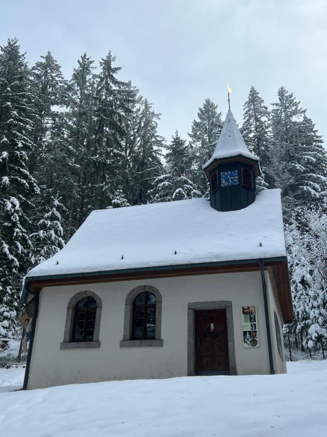 Apartment Annis Panoramablick Pool Sauna Tennis Schonach im Schwarzwald Экстерьер фото