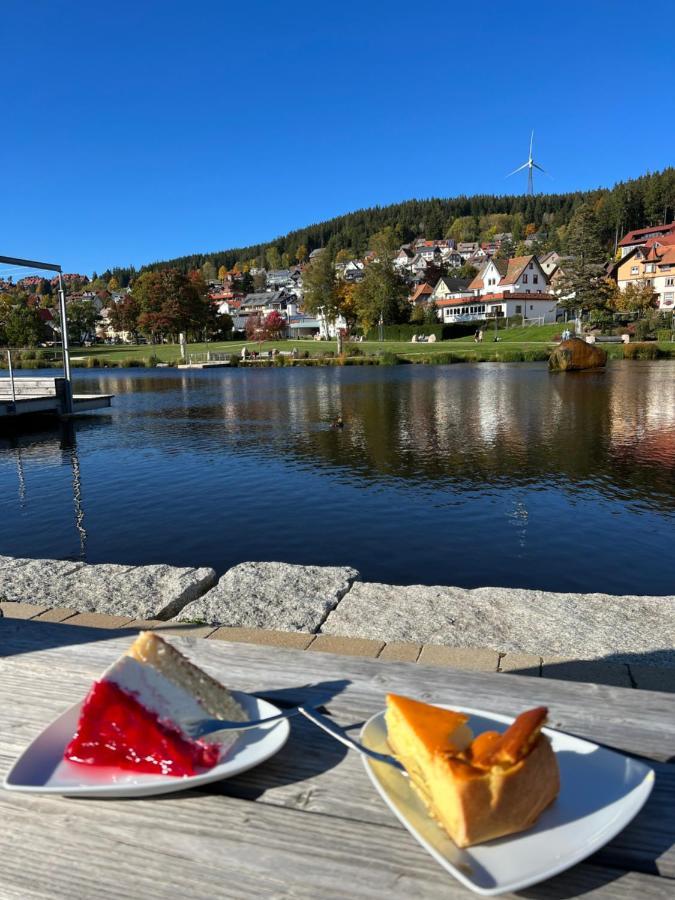 Apartment Annis Panoramablick Pool Sauna Tennis Schonach im Schwarzwald Экстерьер фото