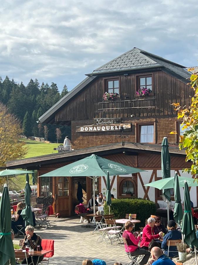 Apartment Annis Panoramablick Pool Sauna Tennis Schonach im Schwarzwald Экстерьер фото